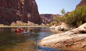 Kayaking insurance img
