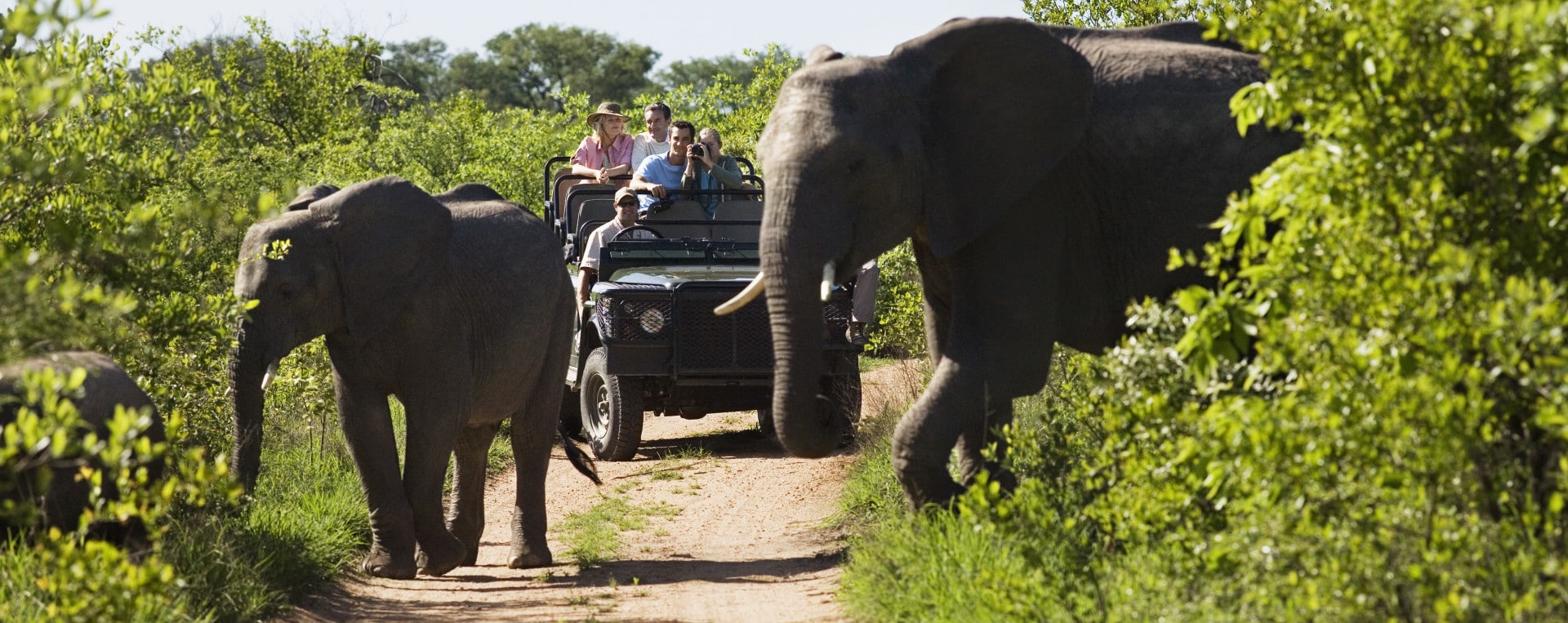 African Travel, Inc. Voted Top Safari Outfitter by Travel + Leisure ... African safari travel insurance