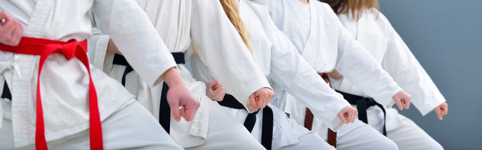 Karate Insurance 10 Off Online SportsCover Direct