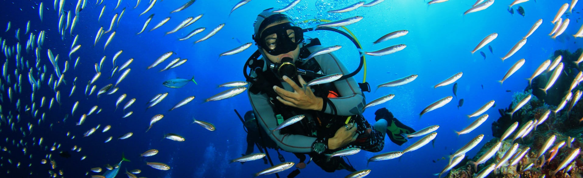 Divers Insurance Get Out Your Scuba Gear! Flood