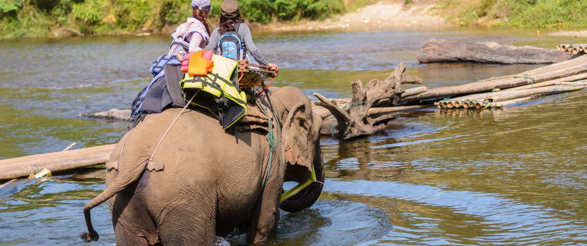 Elephant Riding Insurance SportsCover Direct
