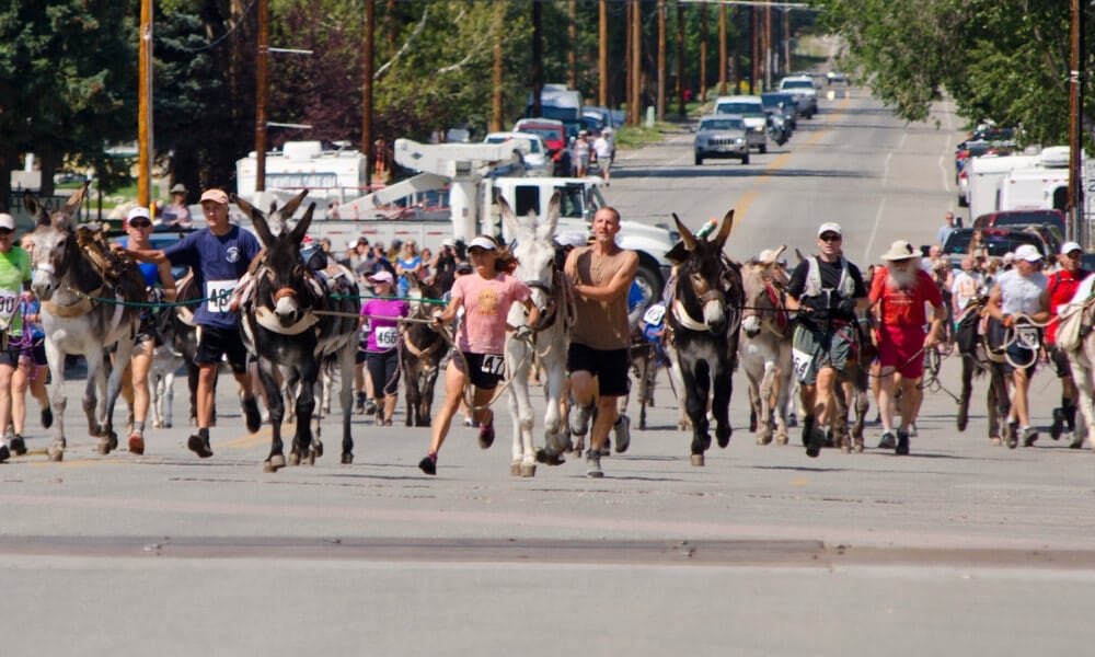 Burro Race