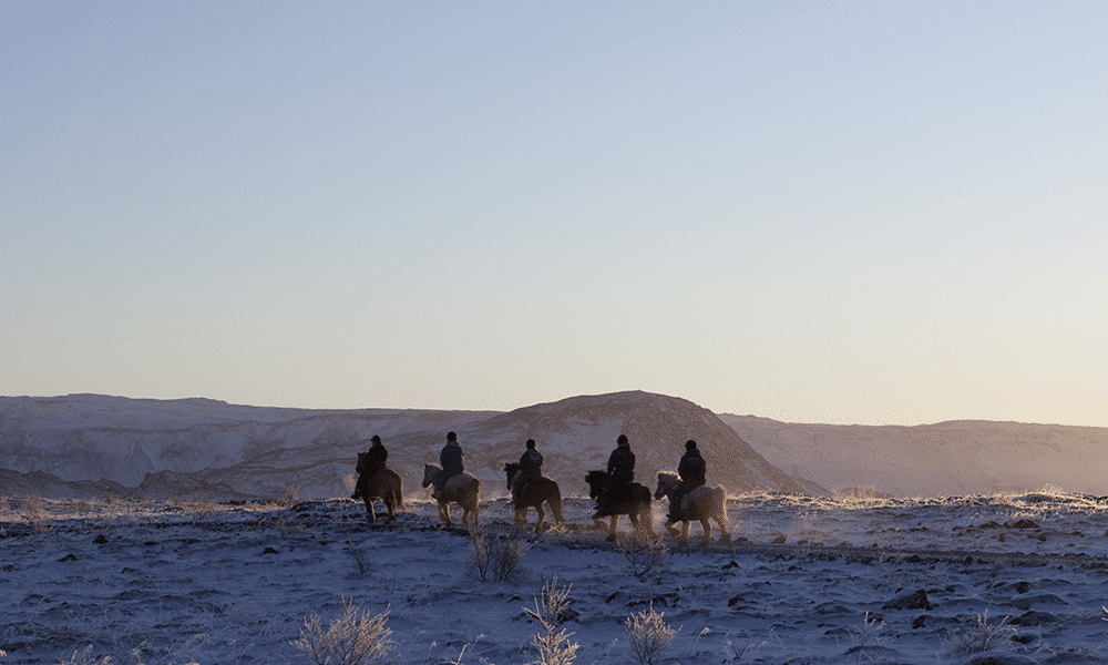 horse trek iceland