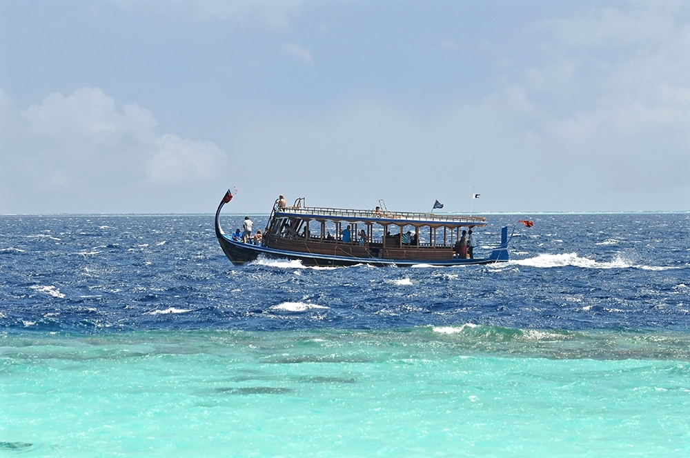 surfing maldives