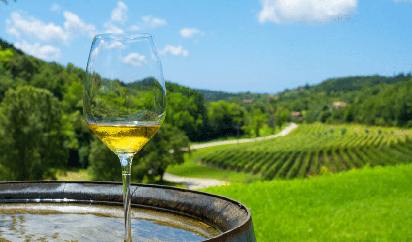 adventure holiday wine