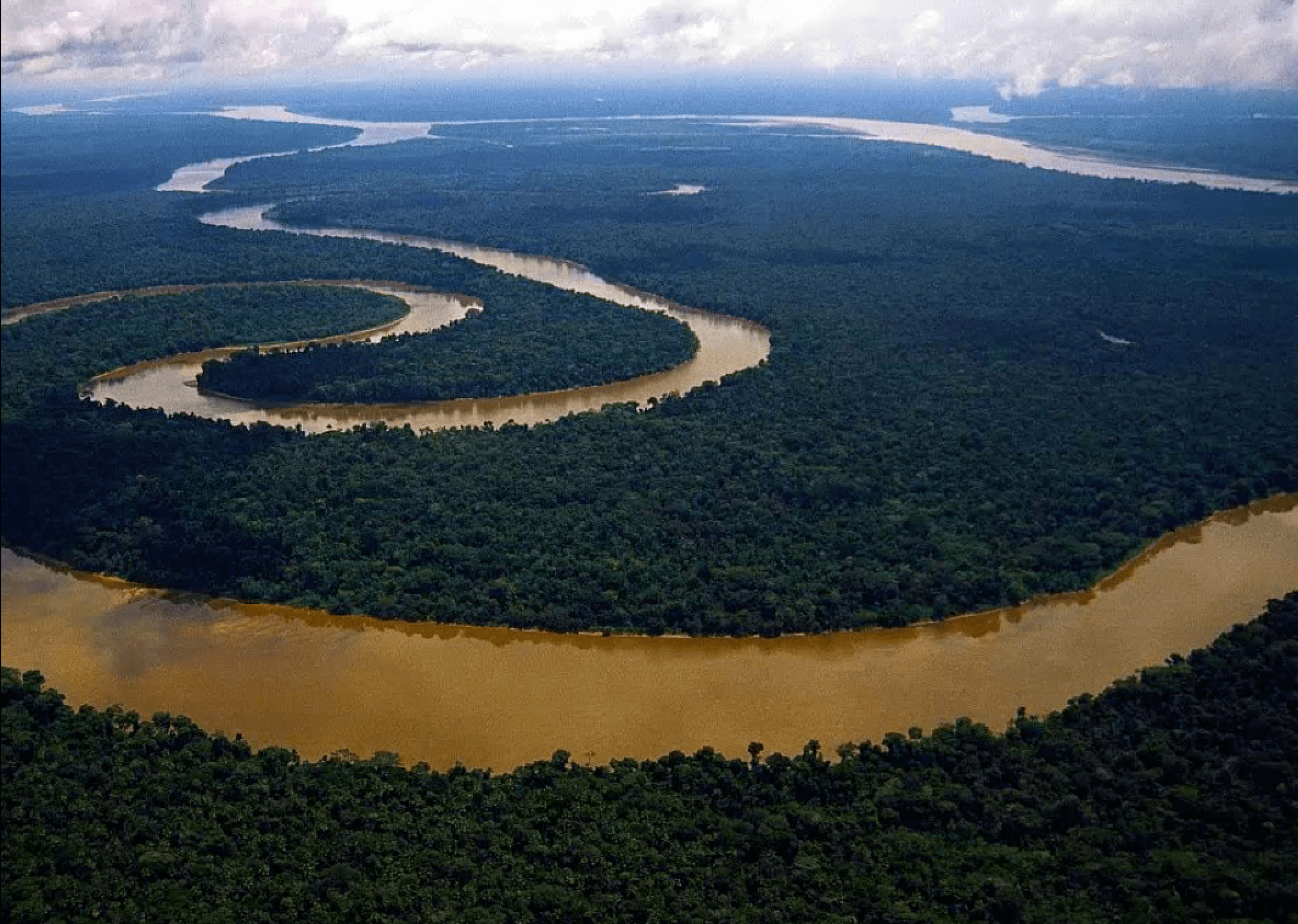 Ness Knight Essequibo