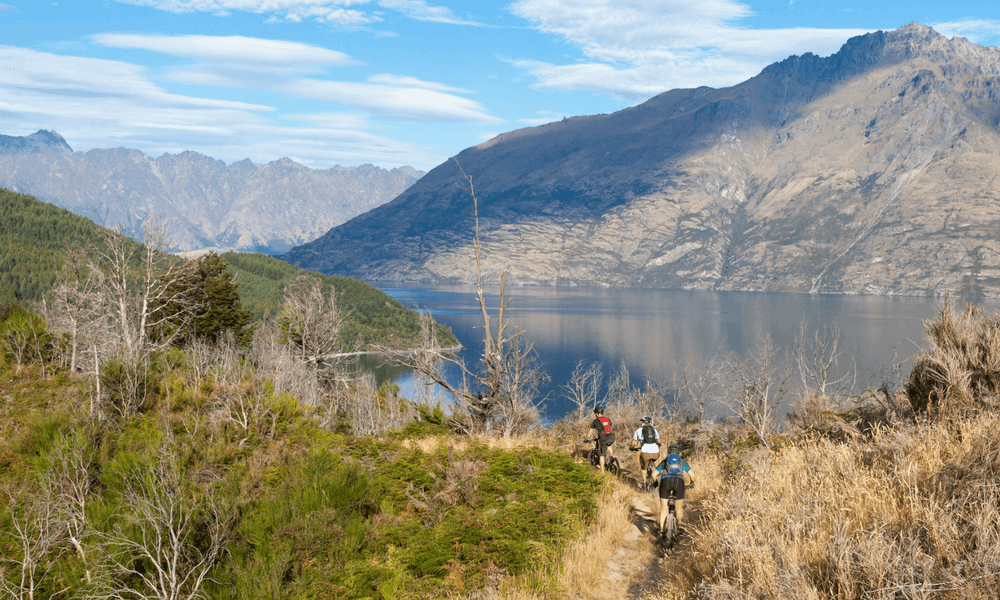 Mountain Biking - Queenstown