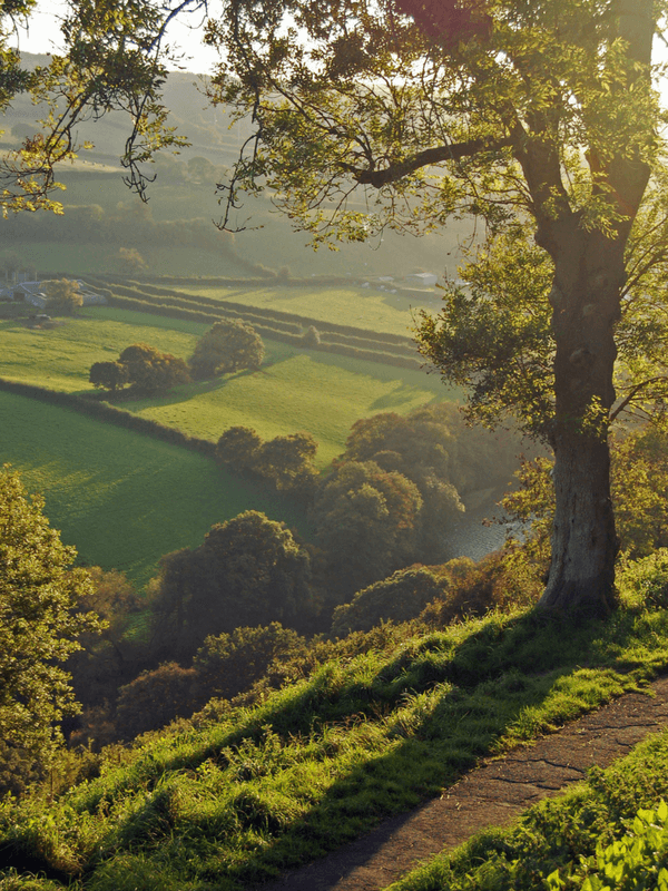 Castle Hill