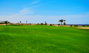 Hurghada Golf