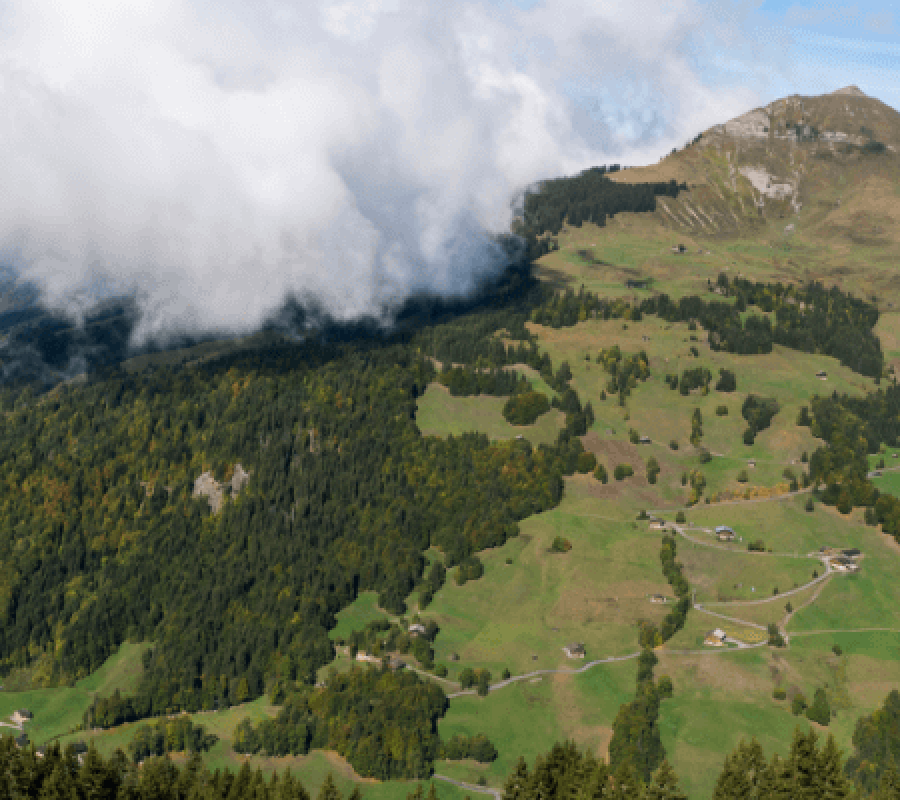 L'Etape Du Tour Claims