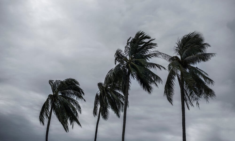 Tropical Storm