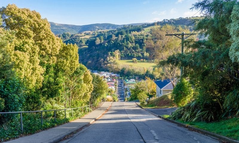 Baldwin Street - Dunedin