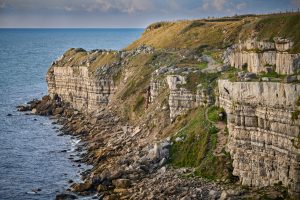 Dorset Coast