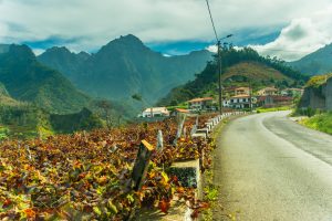 Cycling path in Madeira