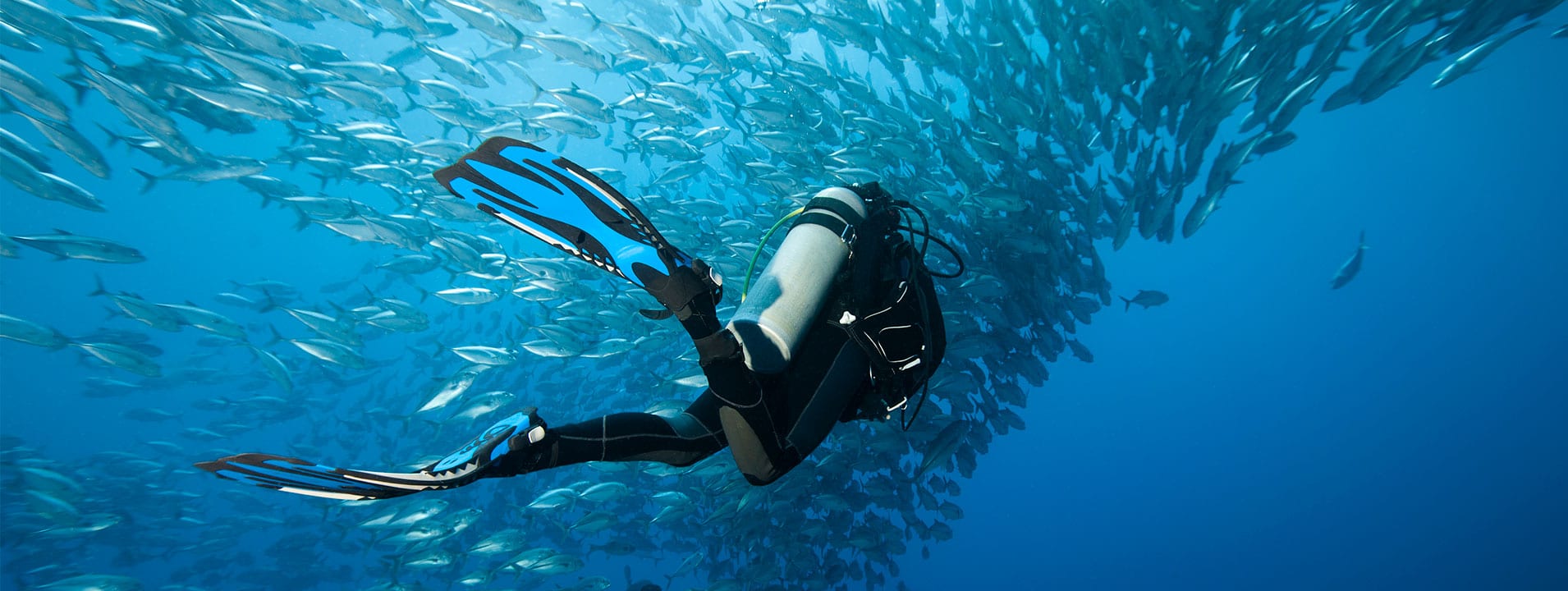 Scuba Diving Travel Insurance 10 Off Online SportsCover Direct