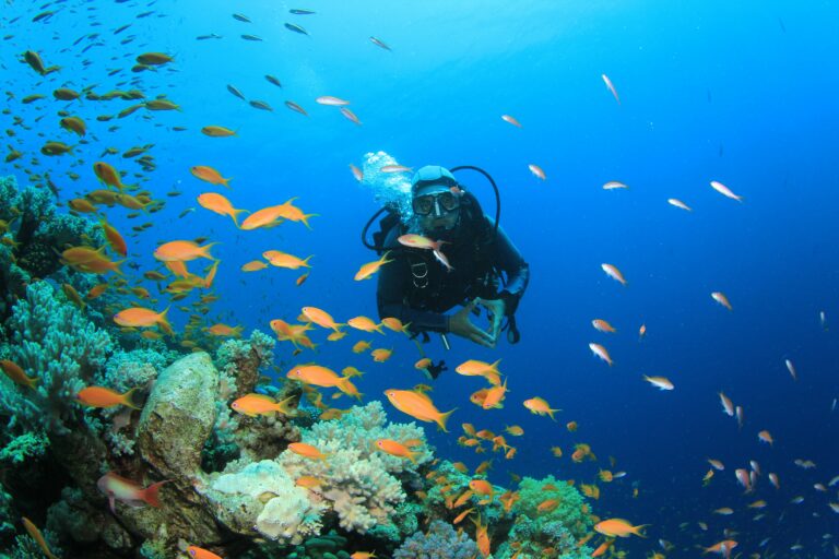 Scuba diving beside coral