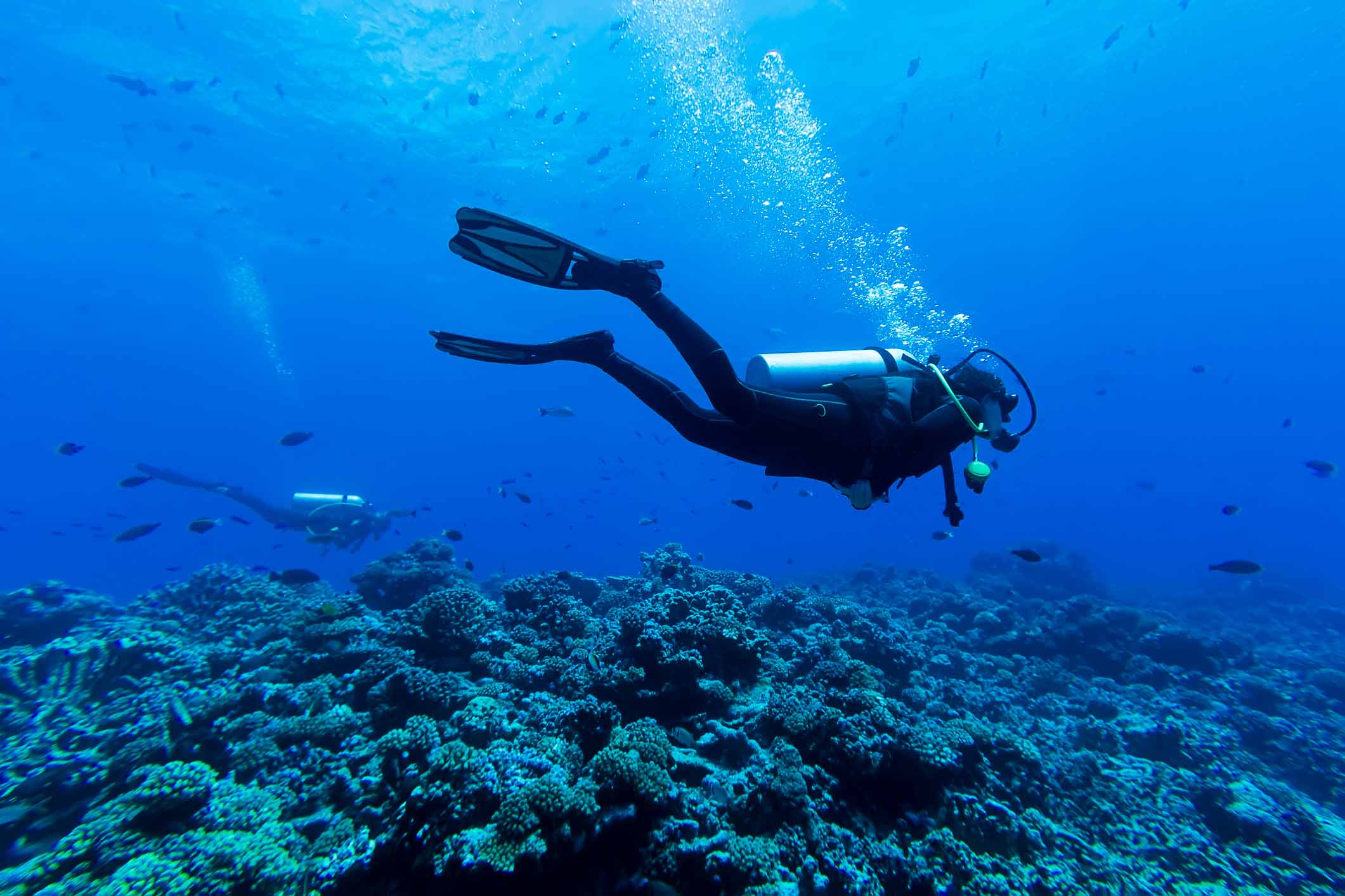 The best scuba diving in Europe | SportsCover Direct