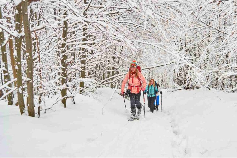 Group of women ski touring through trees