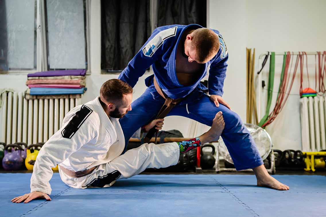 Jiu jitsu training with 2 male fighters