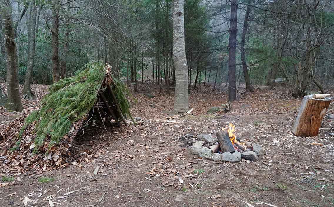Bushcraft camp in the forest