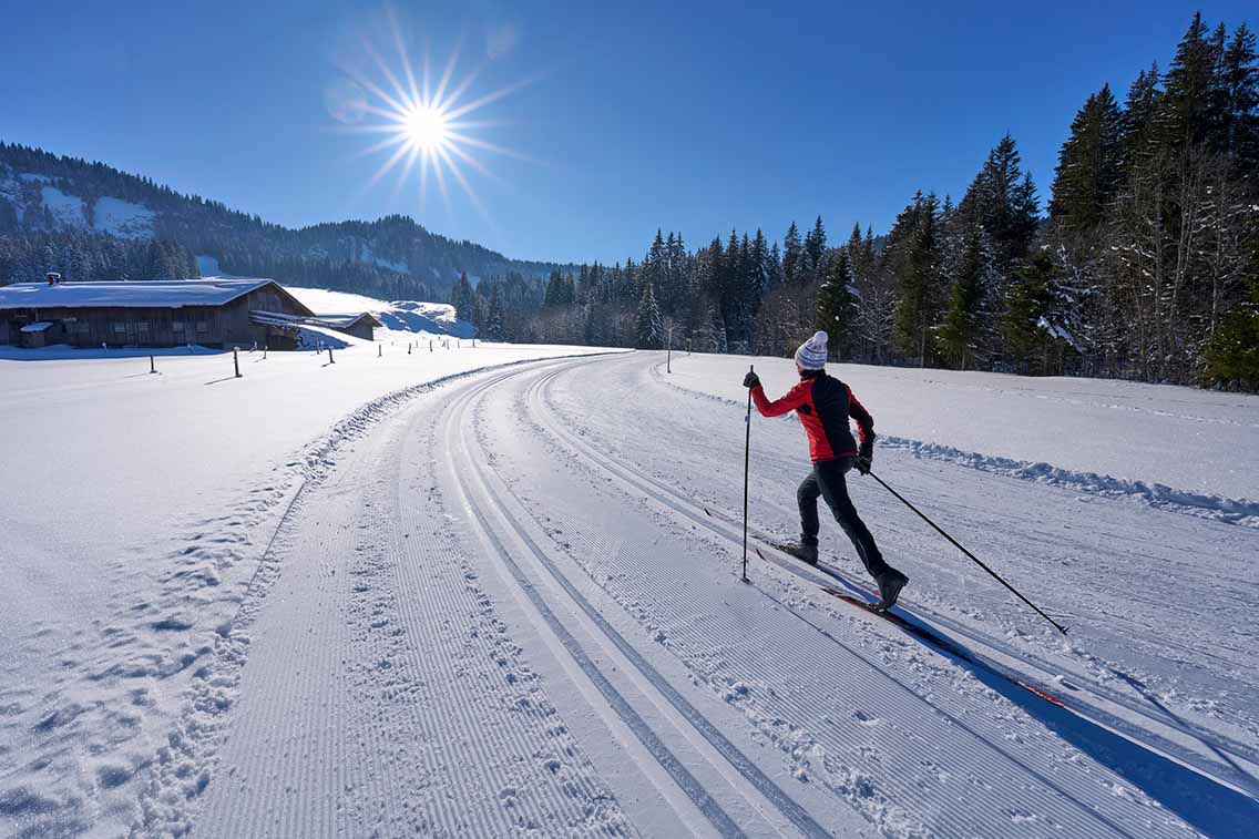Female nordic skier on cross country trail