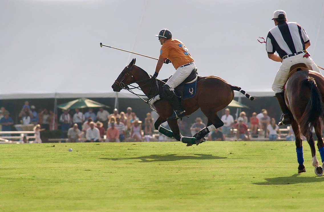 Polo player on moving horse