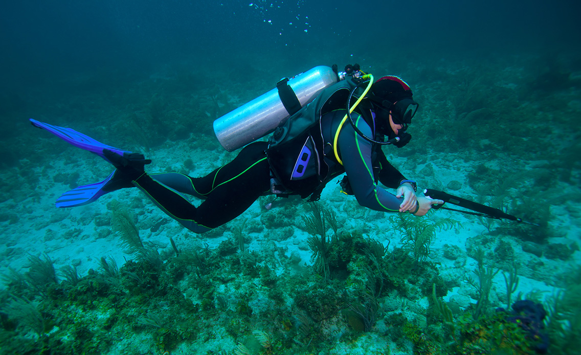 Scuba diver with spearfishing gun