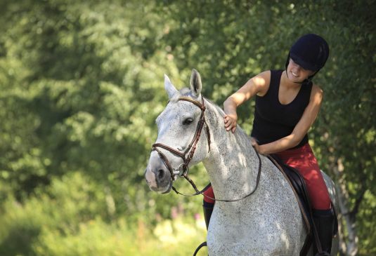 How is Horse Riding Insurance different Female rider on white horse