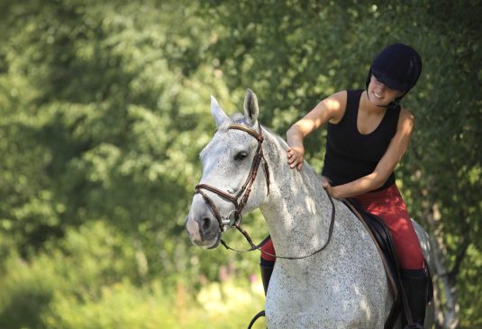 Female rider on white horse