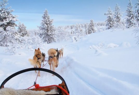 Husky ride Husky ride