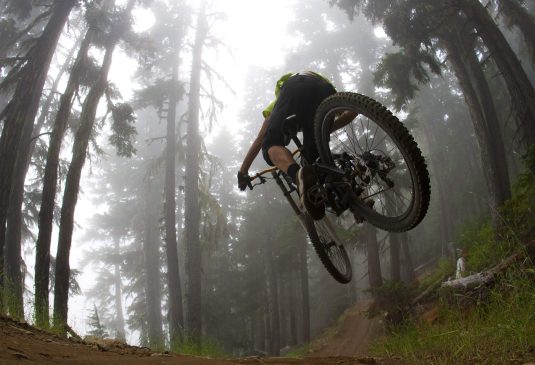 Mountain biker jumping in forest