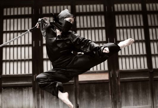 Ninjutsu combat Ninjutsu combat