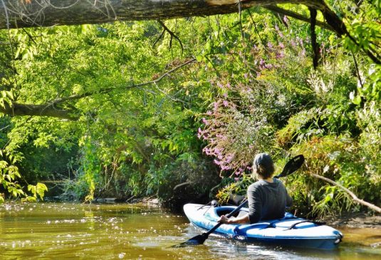 Man is a river kayak