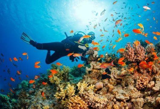 What diving depths can you cover A man scuba diving