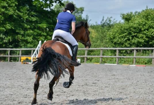 Young woman with her bouncy bay horse