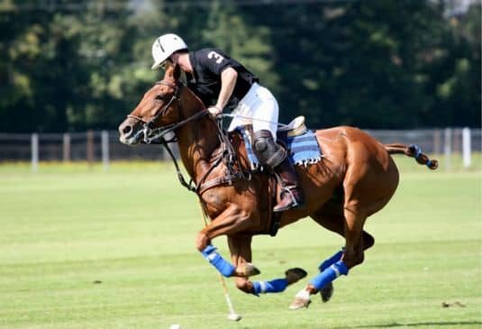 Why Polo Insurance cr Why Polo Insurance cr