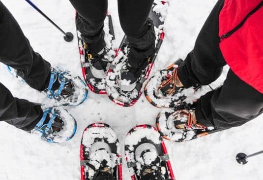 4 people's feet in snowshoes