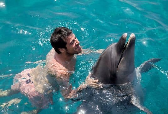 Why Swimming with Dolphins Insurance cr Man swimming with dolphin