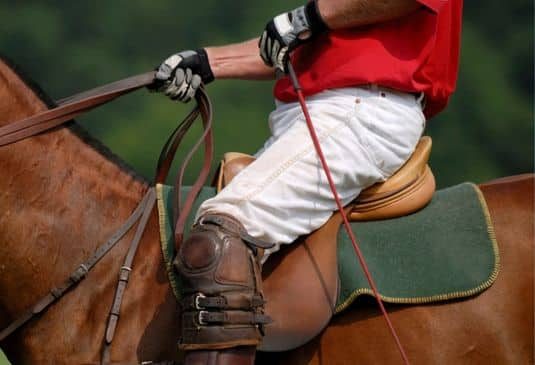 Tent pegging rider with a stick