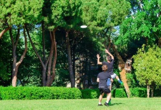 Why Ultimate Frisbee Insurance cr Why Ultimate Frisbee Insurance cr