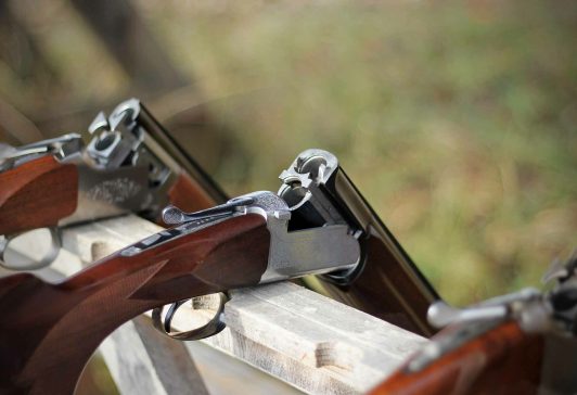 shot guns shot guns